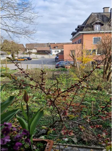 Charming 5-room house with garden idyll in the old village center of Feldmeilen – photo 8 of 13
