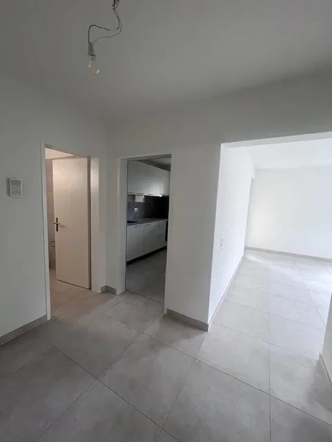 ASCONA, affittiamo appartamento di 2 1/2 locali in zona centrale – foto 7 di 8