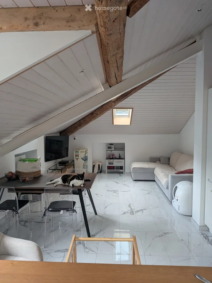 Moderne Dachgeschosswohnung