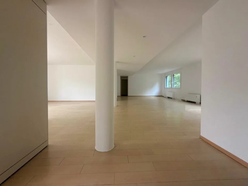 LUGANO · BÜRO IN SEHR ZENTRALER LAGE UND SOFORT VERFÜGBAR · 198 m2 – Foto 6 von 13