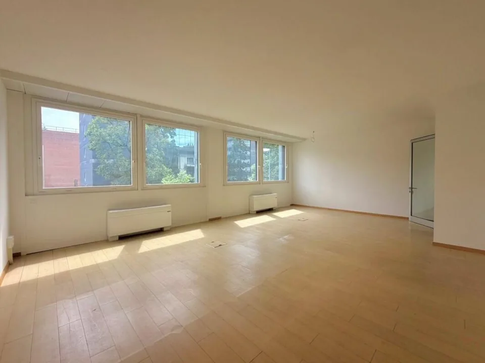 LUGANO · BÜRO IN ZENTRALER LAGE UND VERFÜGBAR AB SOFORT · 198 m2