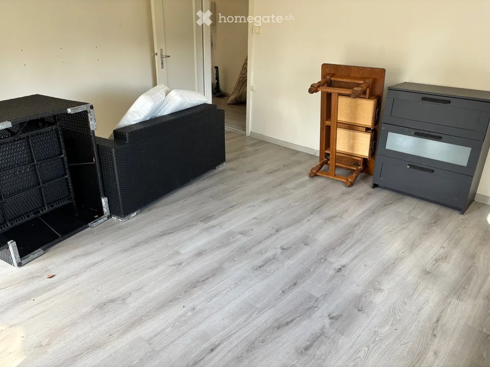 Appartement partiellement réputé à louer