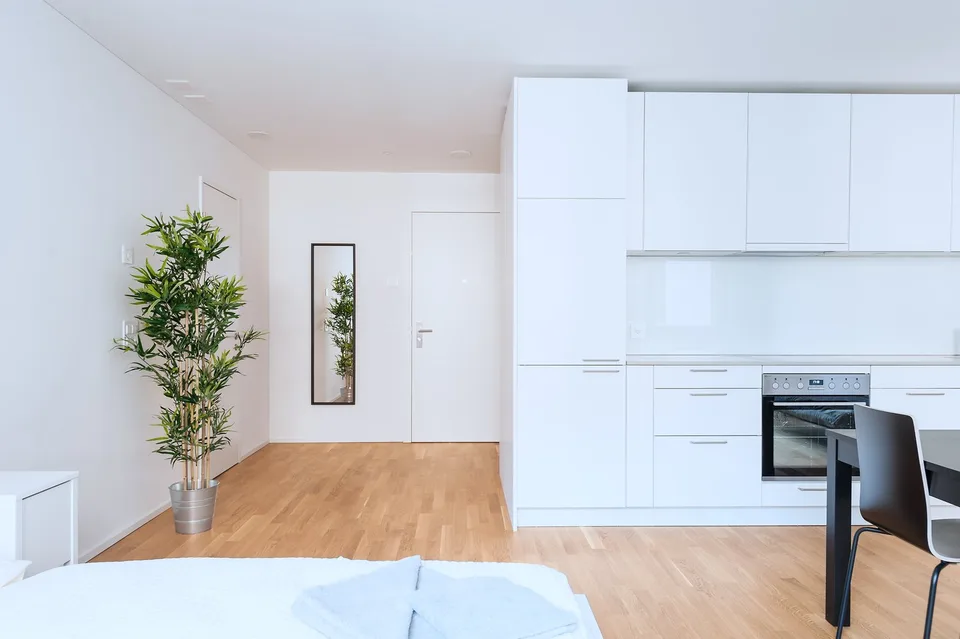 Modernes 1.5-Zimmer-Studio in Basel