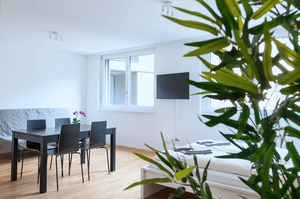 Modernes 1.5-Zimmer-Studio in Basel
