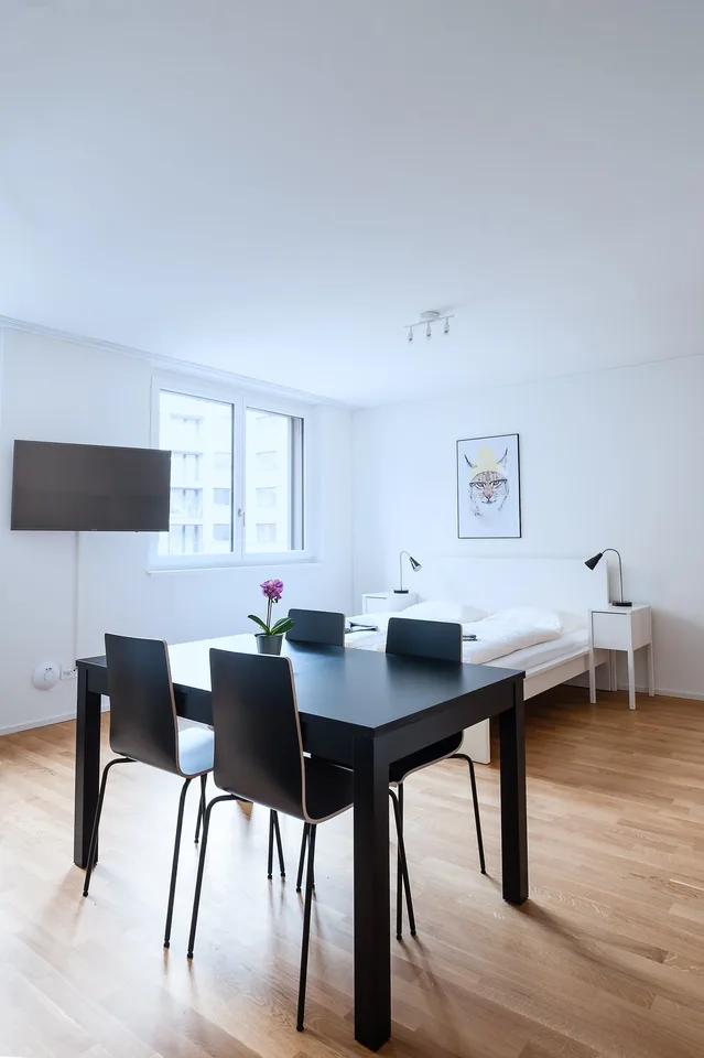 Modernes 1.5-Zimmer-Studio in Basel – photo 7 of 12