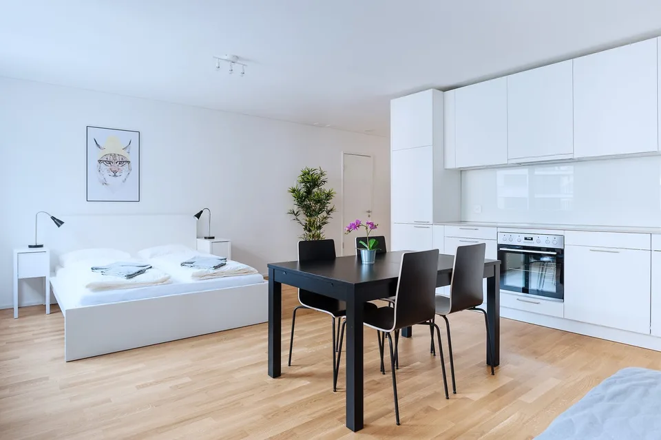 Modernes 1.5-Zimmer-Studio in Basel
