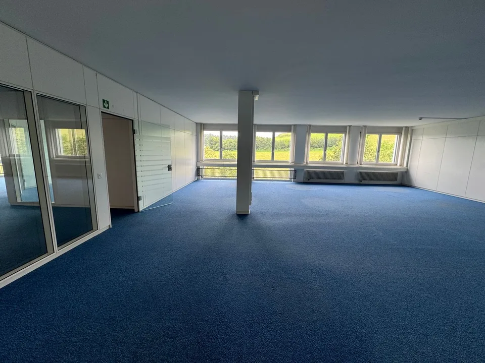 Grosszügige Büro- und Gewerbefläche in Sempach-Station zu vermieten – Foto 6 von 13