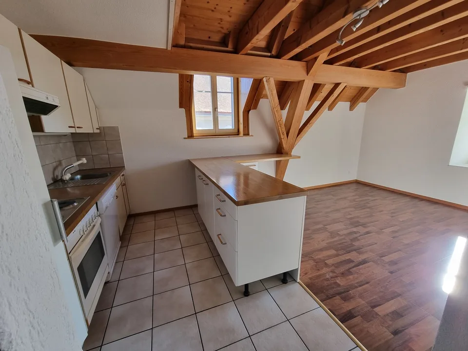 Incantevole appartamento duplex di 3,5 locali con ascensore