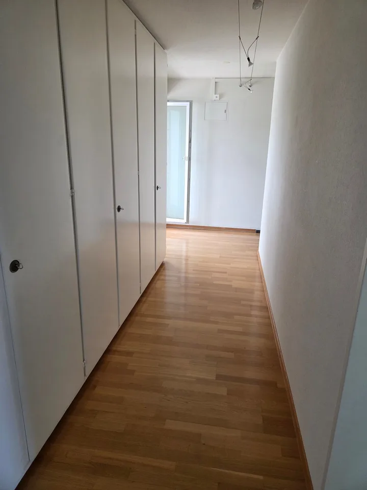 Appartement-maisonnette spacieux de 4,5 pièces dans un endroit calme avec vue imprenable sur le lac et les montagnes – photo 8 sur 14