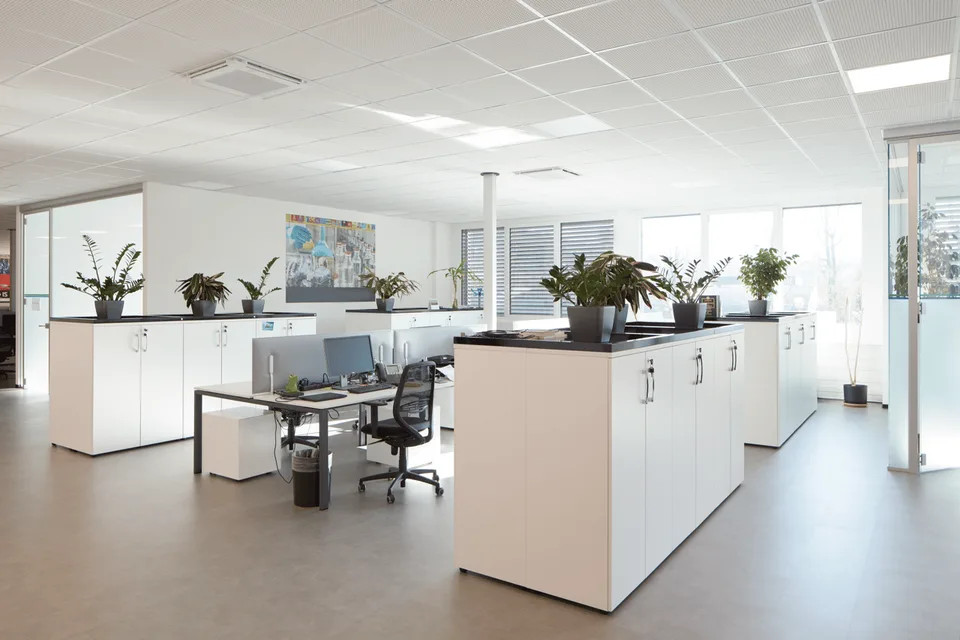 Büro von 1'223 m² - Cadempino – Foto 6 von 10