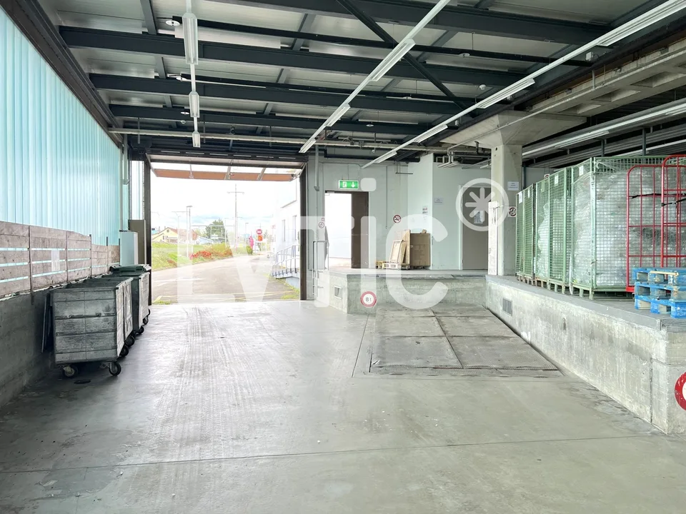 Locaux, showroom, bureaux de 325 m2 à louer à Etoy
