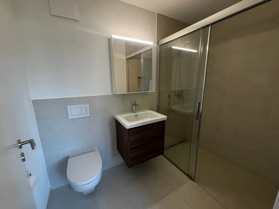 Möbliertes Studio-Apartment im Neubau – Russikon, Madetswilerstrasse 18
