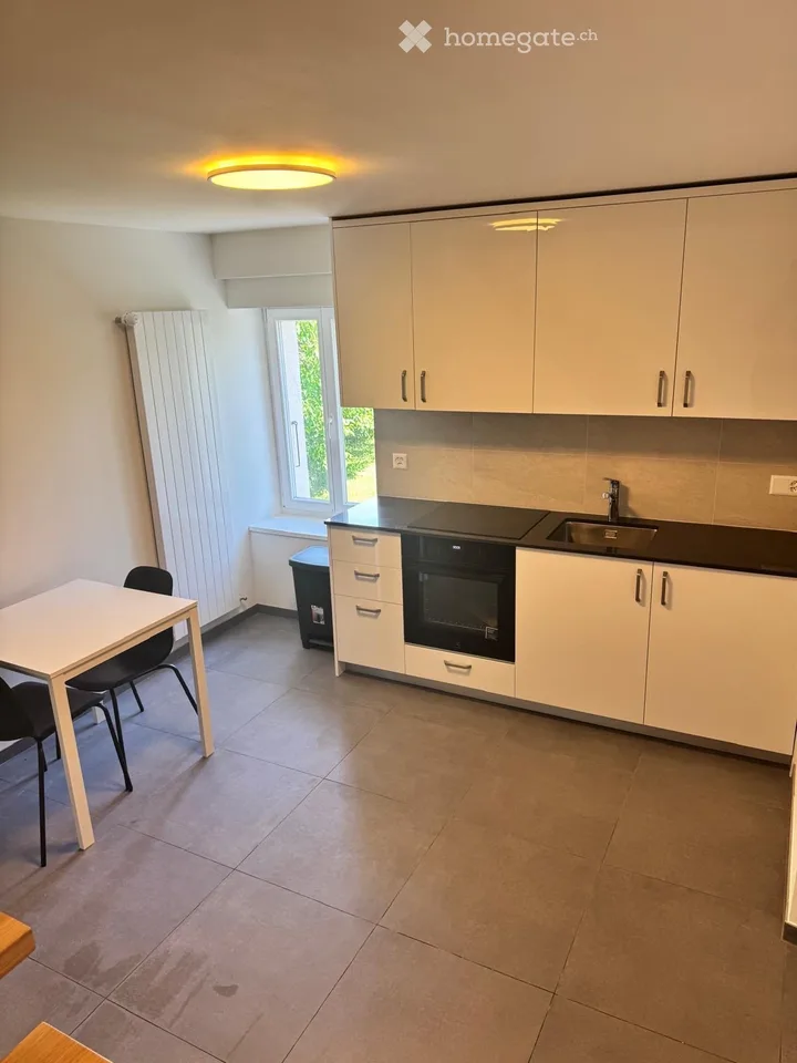 Duplex (2 pièces) meublé à Vésenaz  - Furnished duplex