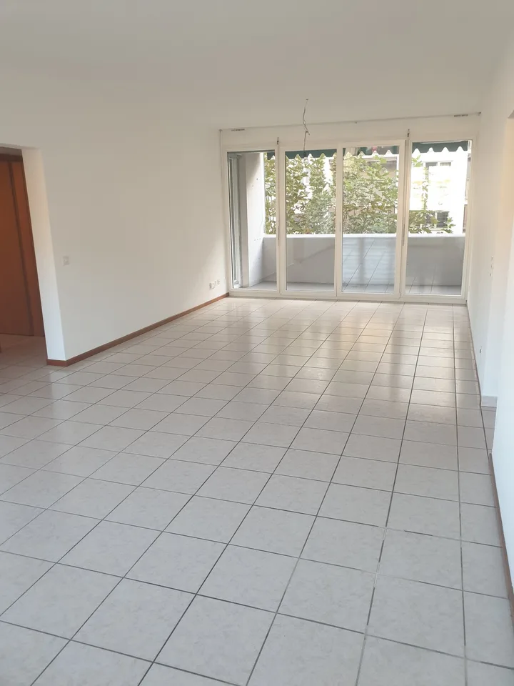 Bright apartment with balcony in Chiasso