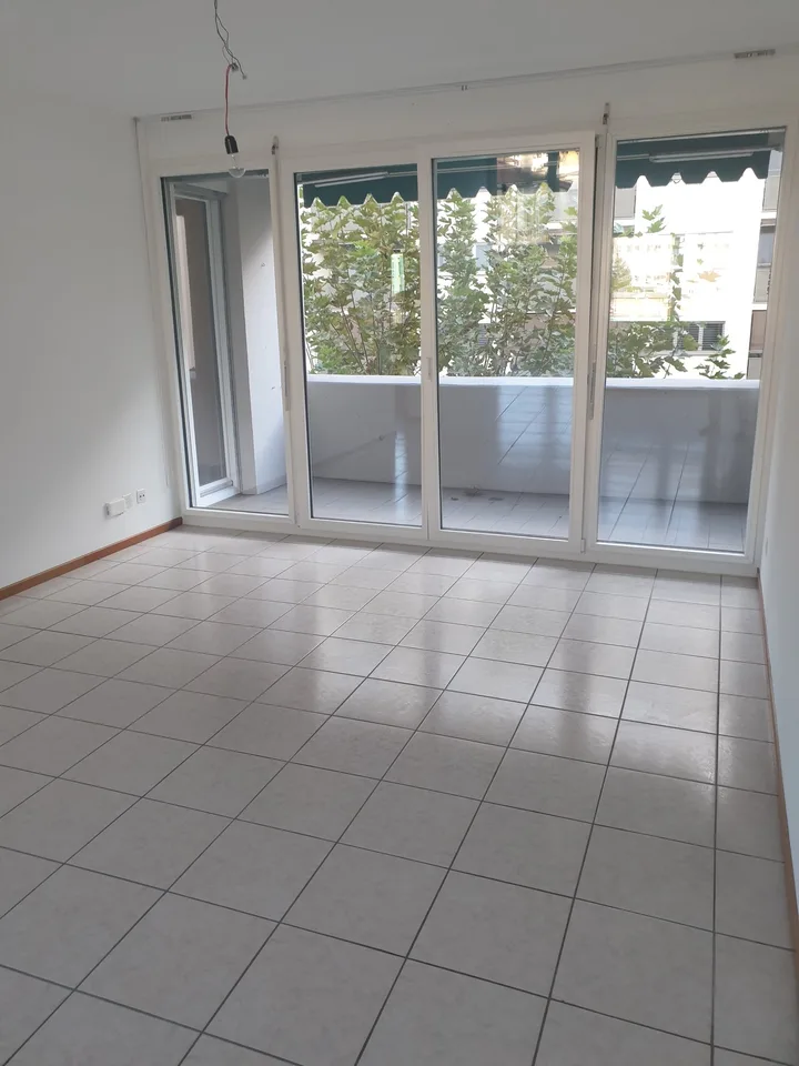 Bright apartment with balcony in Chiasso