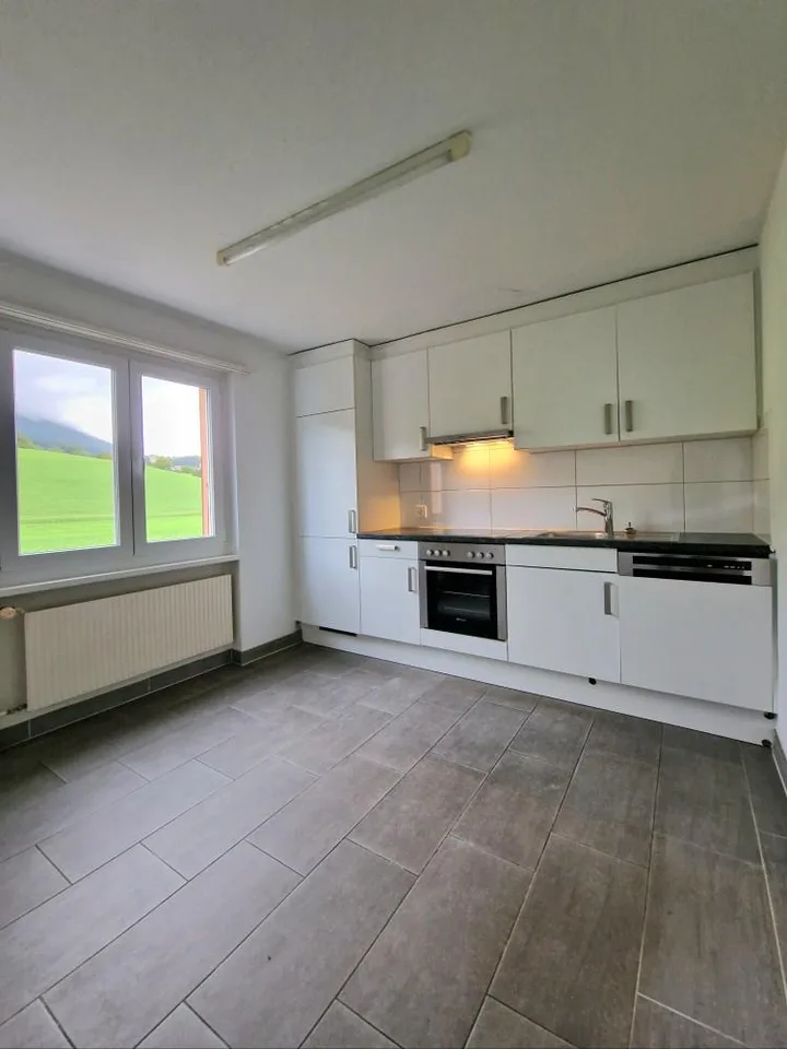 POUR TOUT CONFORT ET TOUT BUDGET ! ! ! Canton de Berne
