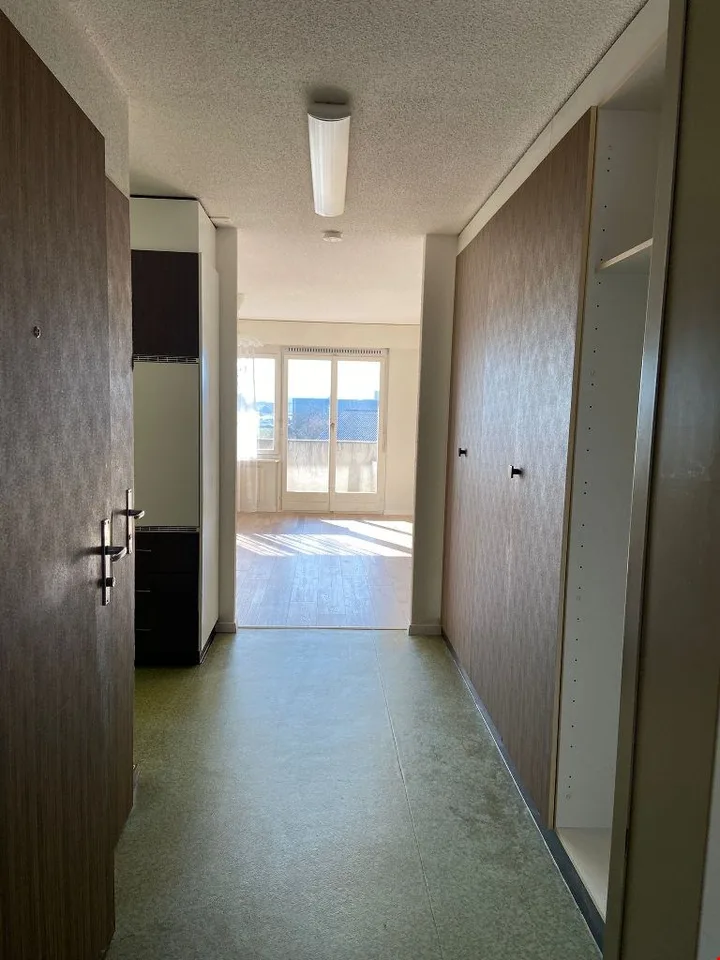 möblierte oder unmöblierte 1-Zimmerwohnung
