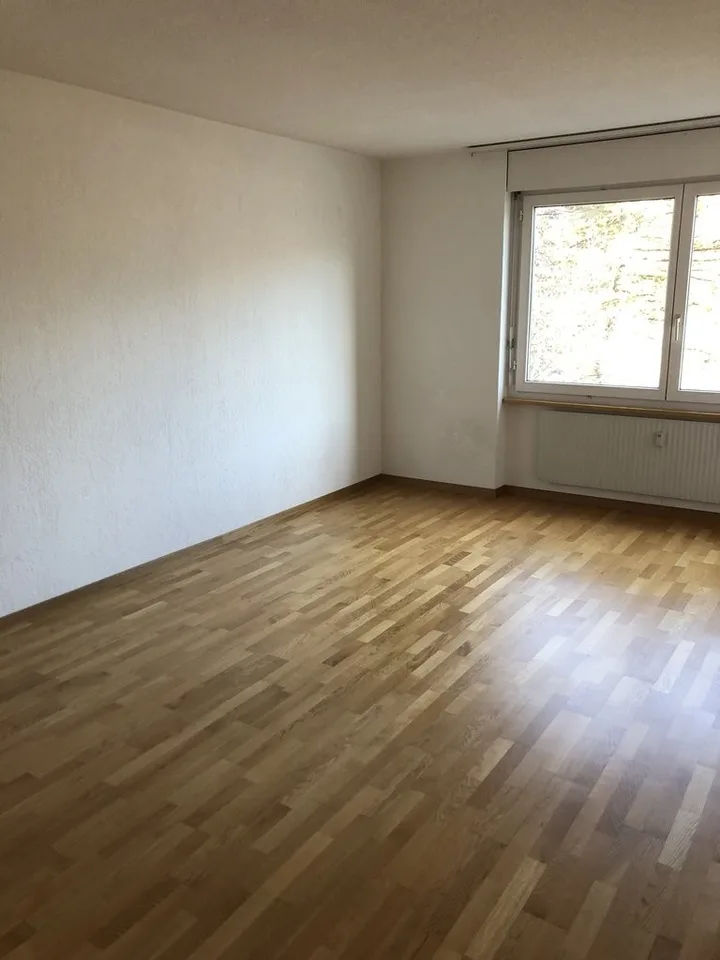 Appartamento temporaneo a Thun