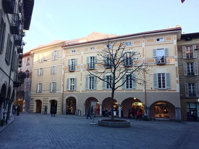Cervo 1