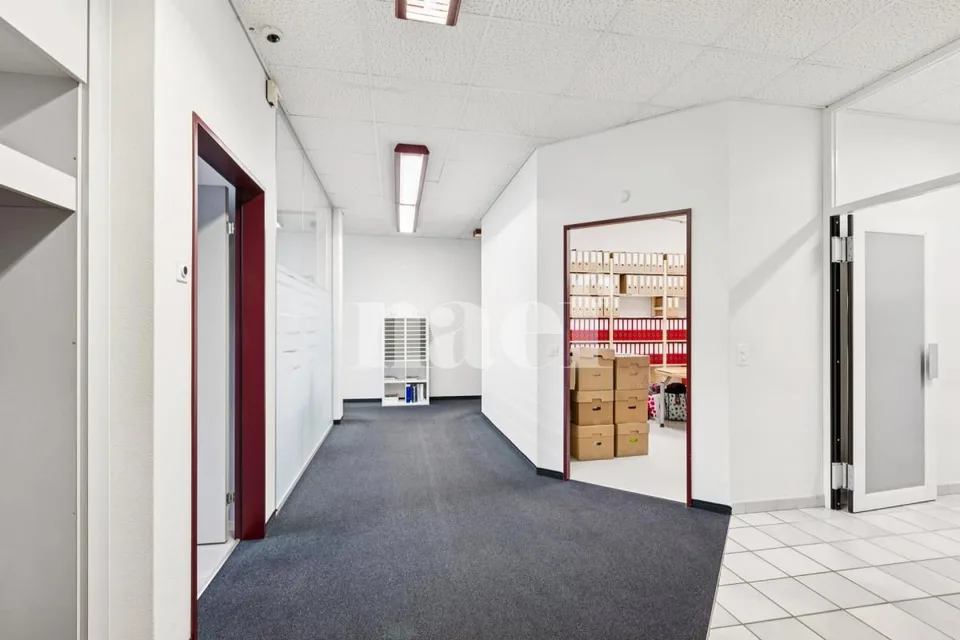 Neue Büros verfügbar, 281 m2