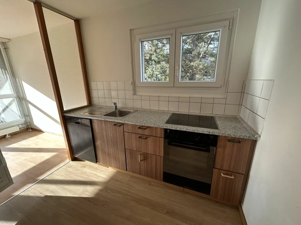 5.5 Zi Wg 1. Stock Balkon mit Abendsonne