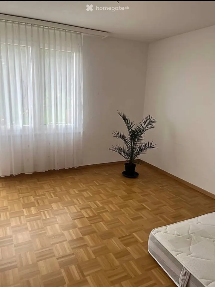 1-Zimmer Wohnung im steuergünstigen Bäch zu vermieten