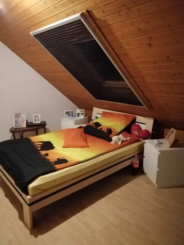 2.5-room attic apartment in a green area