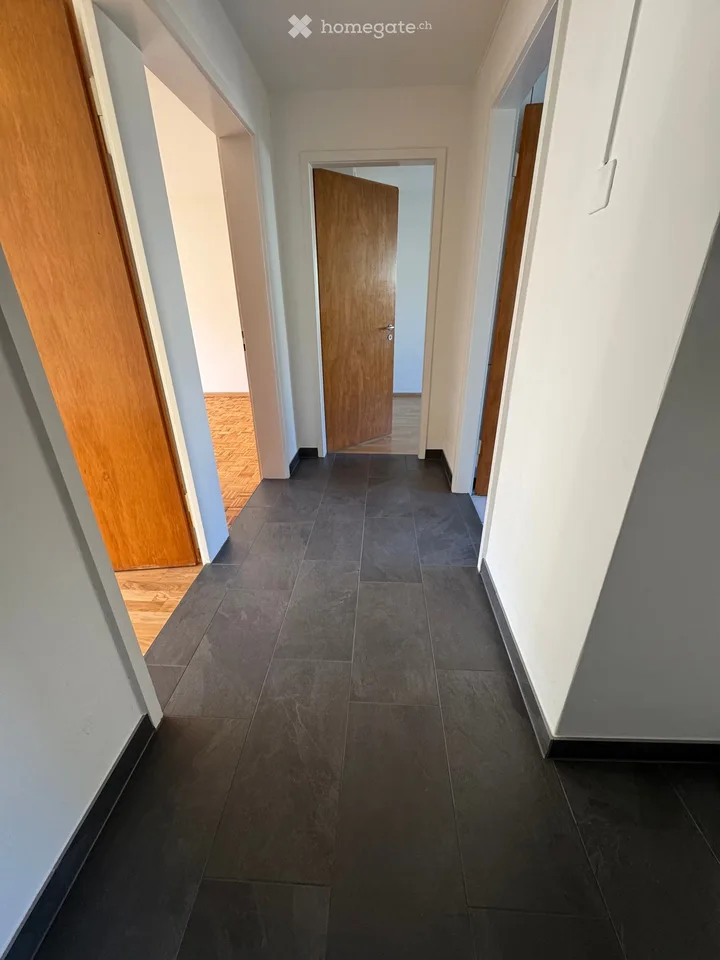 Charmante 3-Zimmer-Wohnung in ruhiger Lage in Münchenstein