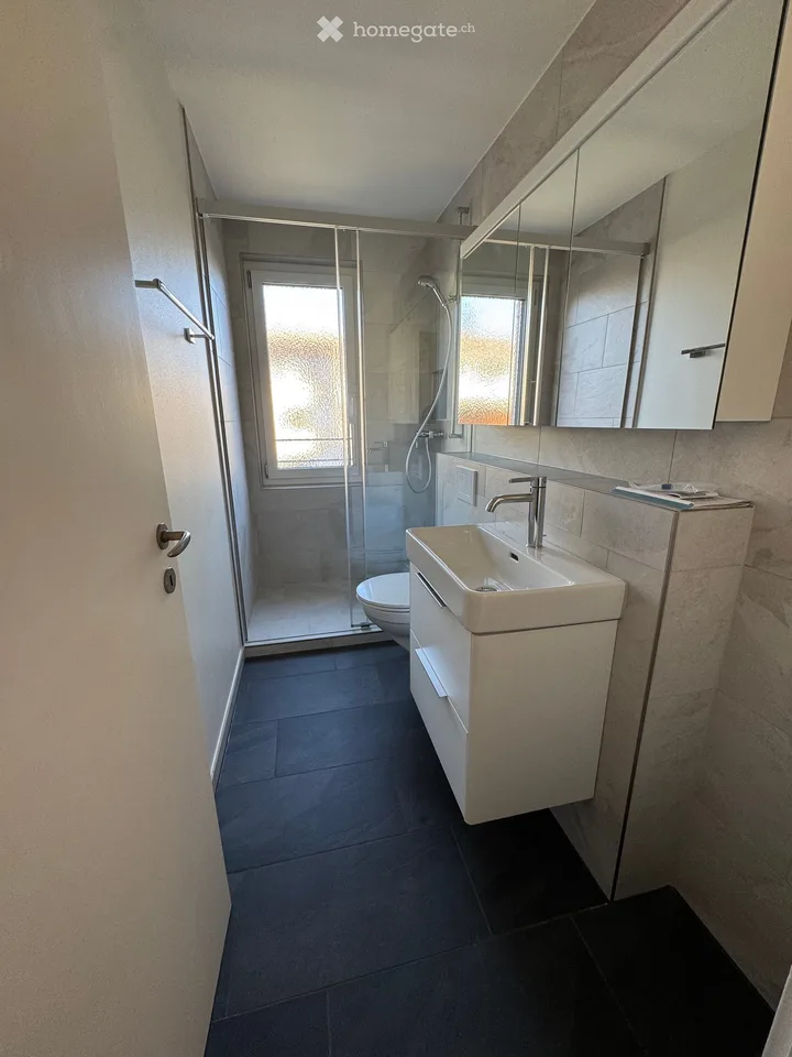 Charmante 3-Zimmer-Wohnung in ruhiger Lage in Münchenstein