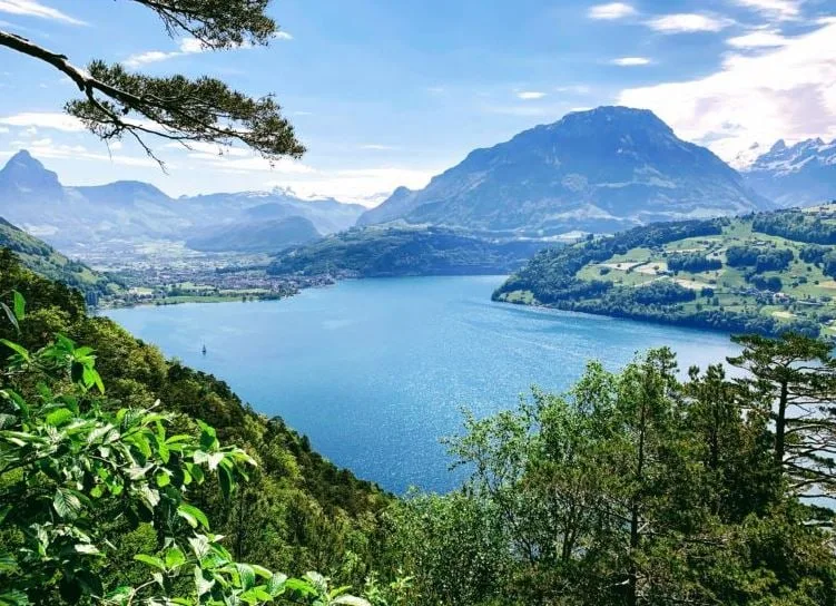 Einzigartige, grosse Baulandparzelle mit Bauprojekt mit Blick auf den Vierwaldstättersee – Foto 6 von 8
