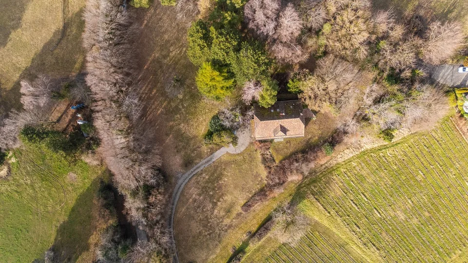 Magnifica villa da ristrutturare in mezzo alle vigne con vista eccezionale sul lago e le Alpi