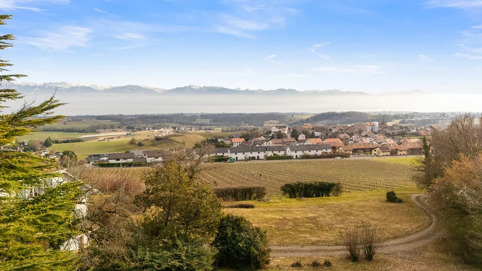 Magnifica villa da ristrutturare in mezzo alle vigne con vista eccezionale sul lago e le Alpi