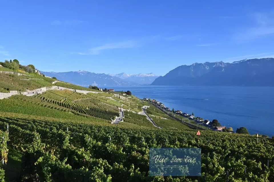 Appartement neuf avec jardin, vue panoramique sur le lac! – photo 8 sur 13