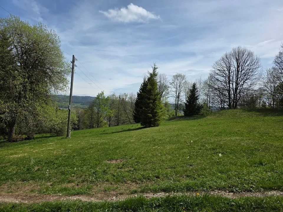 Deux chalets implantés sur une vaste parcelle ensoleillée