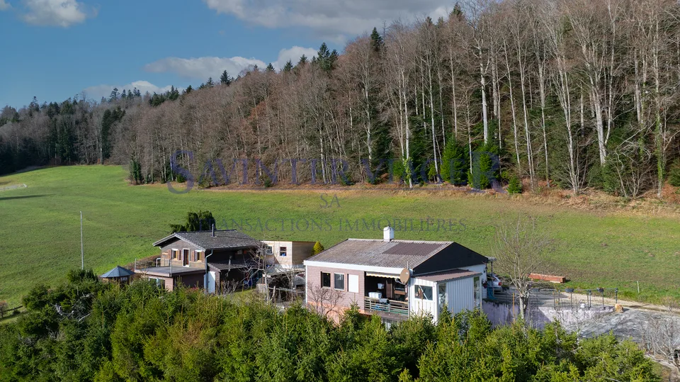 La maison "Les mésanges" en viager occupé