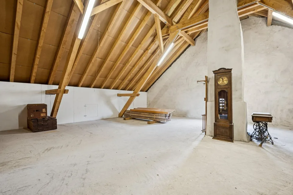 Propriété polyvalente à Niederbuchsiten – photo 8 sur 10