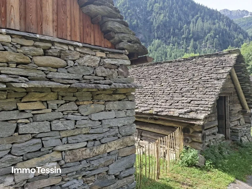 Ritiro nella valle di Maggia, rustico con 3000 m² di terra in una posizione tranquilla circondata da una natura mozzafiato – foto 9 di 13