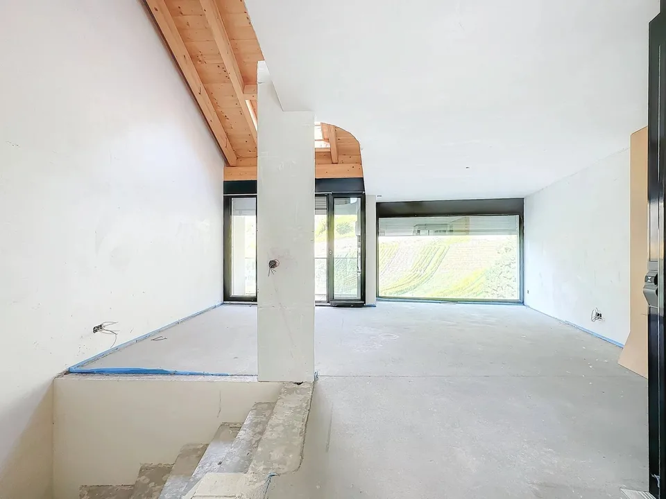 Luxury Triplex in Attic - Minergie Label