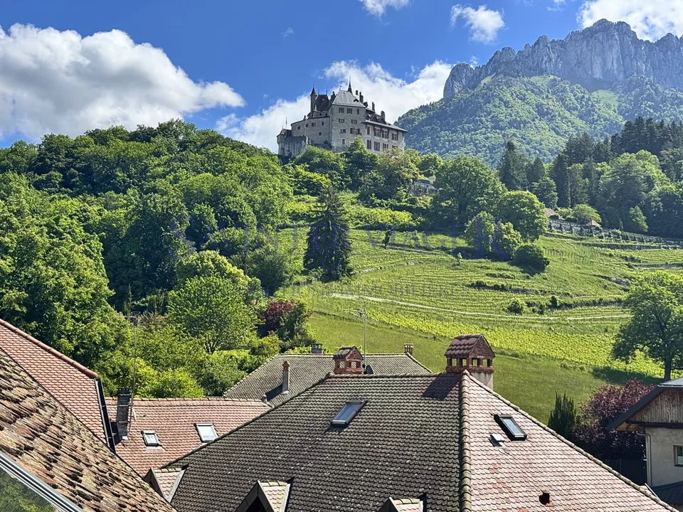 Viager occupé. Menthon-St-Bernard. Un bien rare avec potentiel