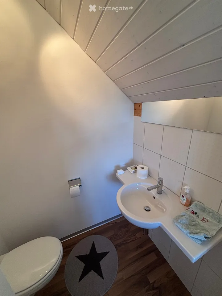 Habiter ensoleillé, calme et spacieux – maison unifamiliale 5½ pièces – photo 18 sur 26