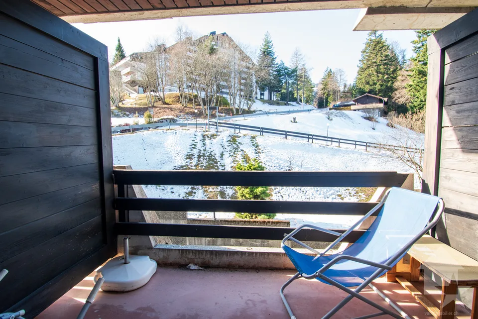 Torgon, accogliente duplex di 2 pezzi nell'immobile Le Cleuset – foto 8 di 11