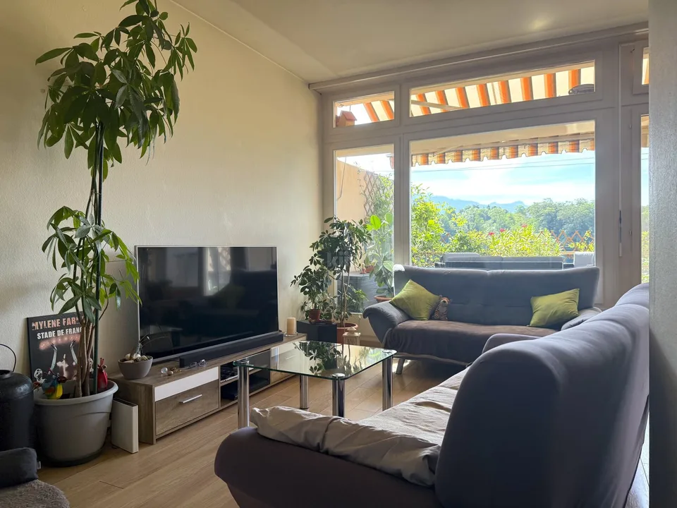 Charmant studio avec grande terrasse et vue dégagée