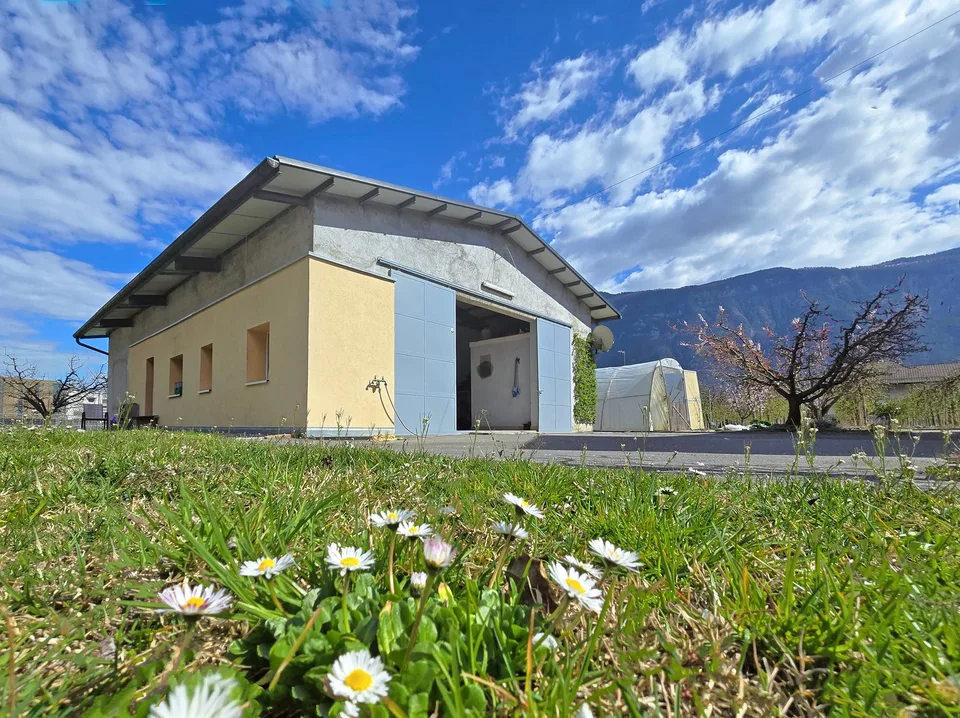 Garage doppio e grande capanno convertibile – foto 6 di 7