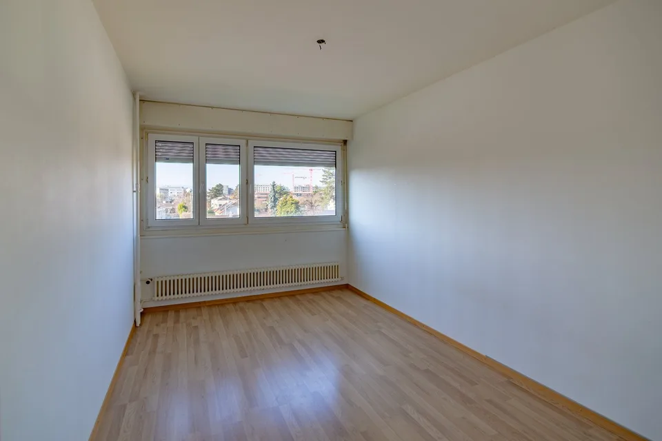Charming 3-room apartment in Lancy