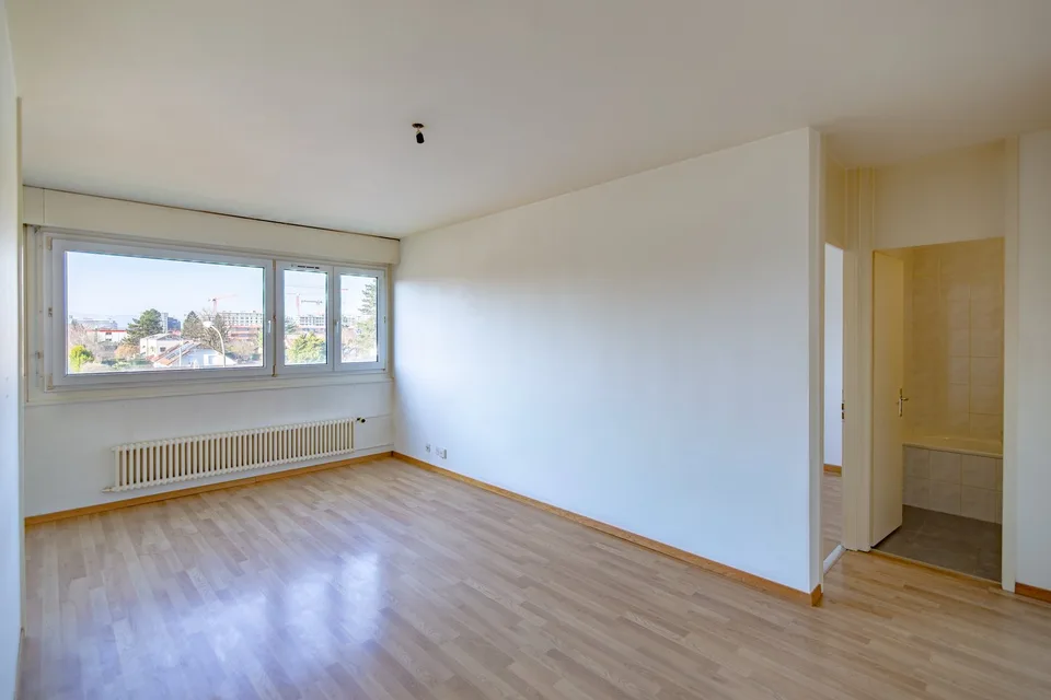 Charmant appartement de 3 pièces à Lancy