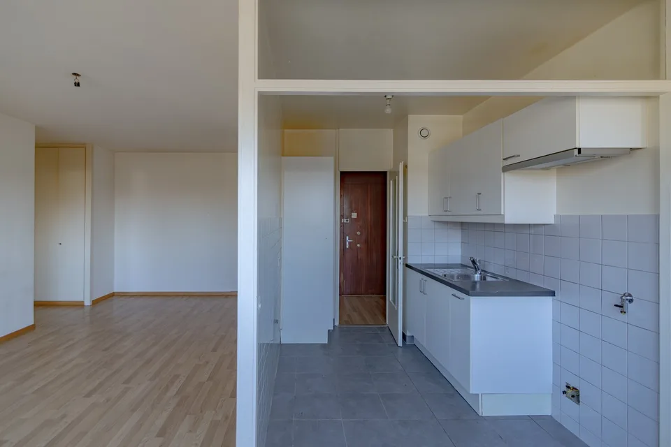 Charming 3-room apartment in Lancy
