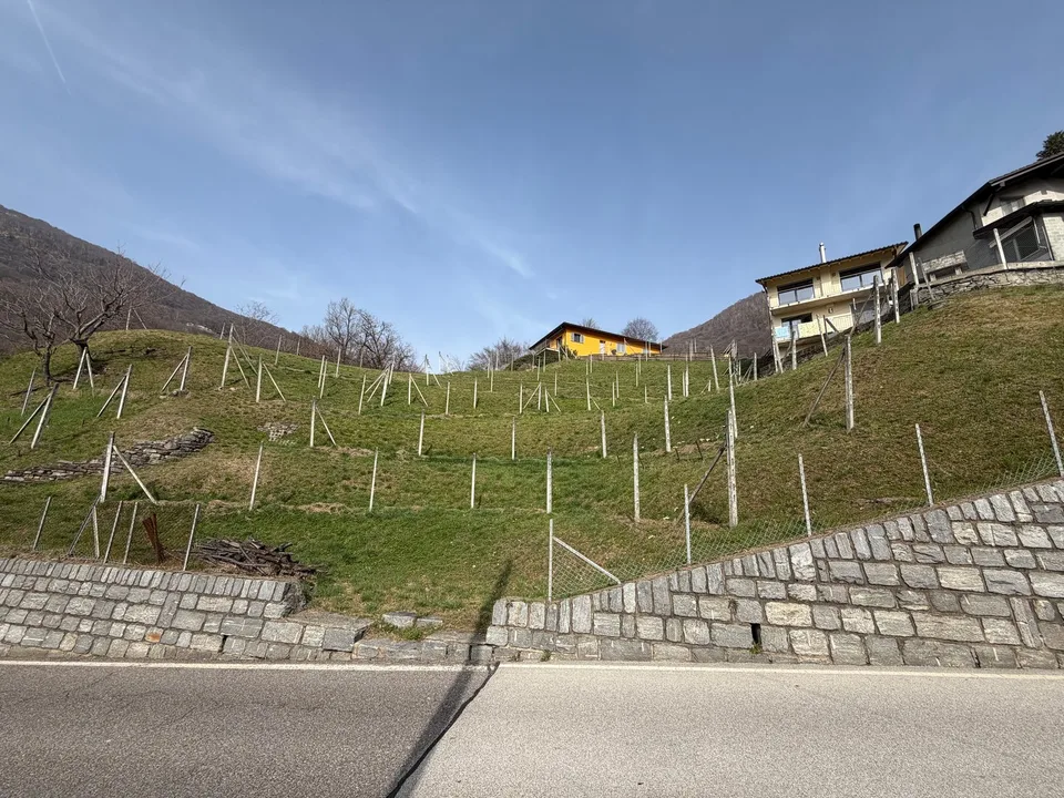 Bauland mit Panoramablick in Medeglia