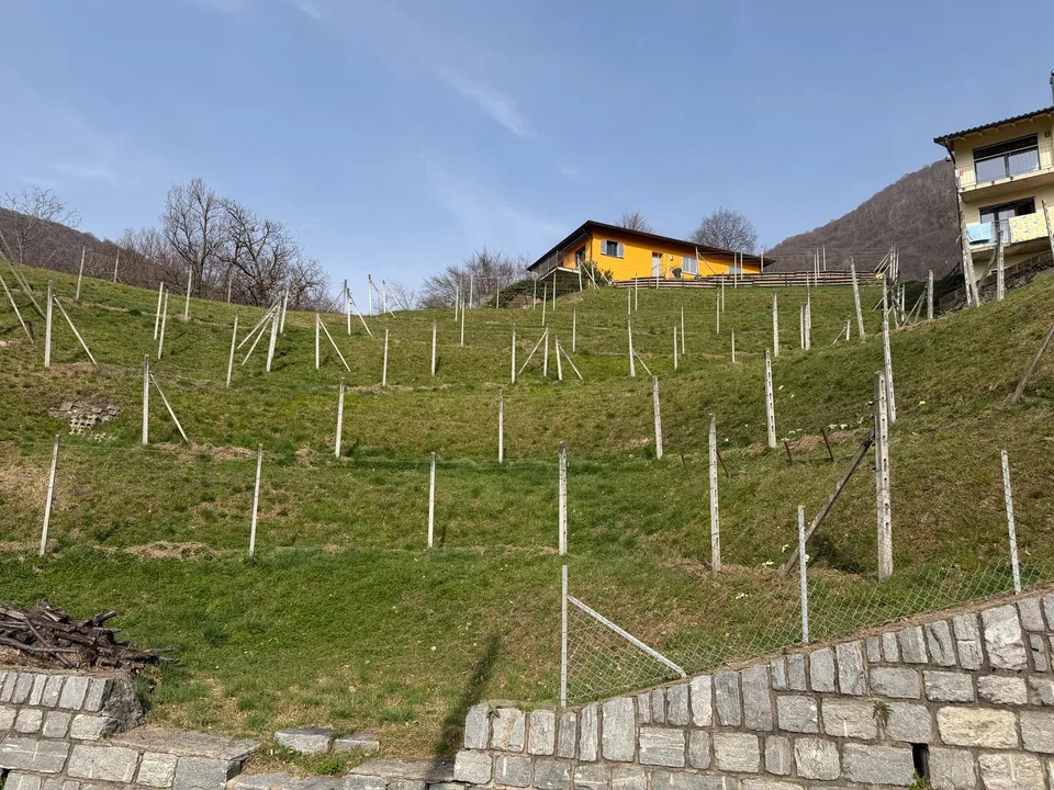 Terreno edificabile con vista panoramica a Medeglia