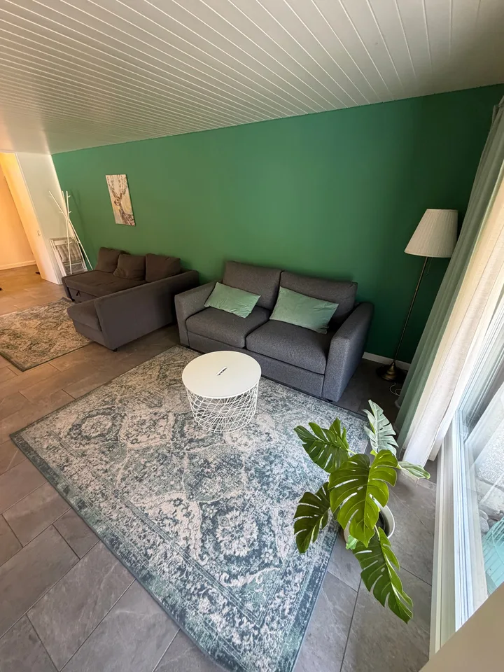 Incantevole appartamento di 2,5 locali con vista da sogno a Beatenberg – foto 8 di 11