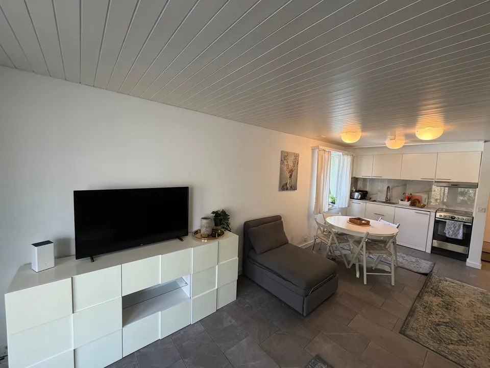 Incantevole appartamento di 2,5 locali con vista da sogno a Beatenberg – foto 9 di 11